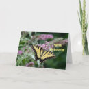 Search for butterfly sympathy cards Yellow