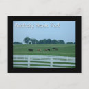 Search for kentucky postcards Nature