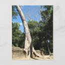Search for banyan postcards Buddha