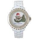 Search for shih tzu accessories Dogs