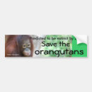Search for endangered animals bumper stickers Conservation