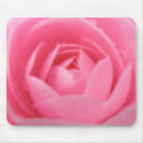 Search for camellia mousepads Flower