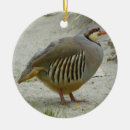 Search for 12 days of christmas tree decorations Bird