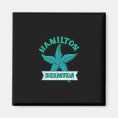 Search for bermuda magnets Summer