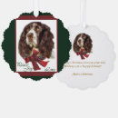 Search for springer spaniel christmas cards Pet