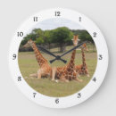 Search for fossil clocks Orange