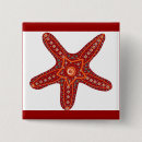 Search for starfish badges Orange