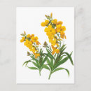 Search for vintage botanical postcards Yellow
