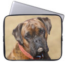 Search for brindle electronics Canine photographer