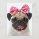 Search for bows postcards Pretty