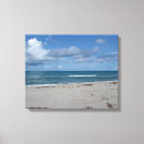 Search for florida seashells art Sand