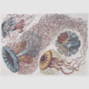 Search for biology gift wrap Science