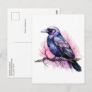 Search for fantasy birds postcards Magical