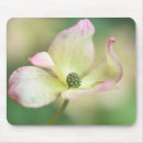 Search for dogwood electronics Bloom