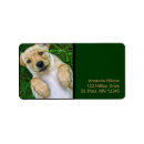 Search for golden retriever puppy return address labels Puppies