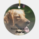 Search for pet memorials Christmas keepsake