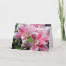 Search for stargazer cards Flower