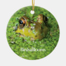 Search for toad christmas tree decorations Animal