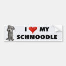 Search for poodle bumper stickers Puppies