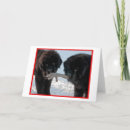 Search for newfie christmas cards Newfoundland