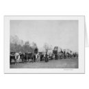 Search for whipped postcards Americana