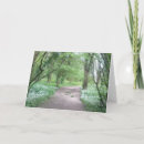Search for natural wood cards Woodland