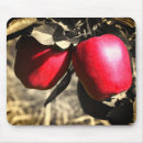 Search for delicious photography Red
