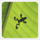 Search for banana leaf stickers Green