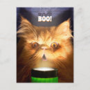 Search for humour halloween invitations Boo