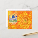 Search for happy quote postcards Happiness