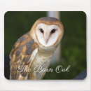 Search for the barn owl electronics Birds of prey