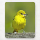 Search for grove mousepads Yellow