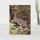 Search for under the trees cards Nature