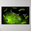 Search for biomolecules posters Pathology