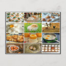 Search for chicken horizontal postcards Collage
