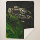 Search for gecko blankets Animal