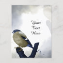 Search for bird save postcards Watercolor