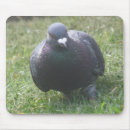 Search for posing mousepads Photography