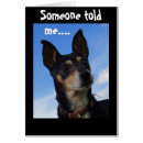 Search for sure photography Veterinarian