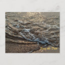 Search for foam party invitations Ocean