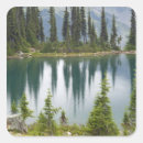 Search for british columbia stickers Forest