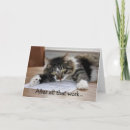 Search for napping cards Animals