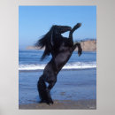 Search for rearing posters Black