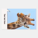 Search for funny giraffes stickers Nature