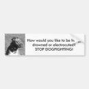 Search for dogfighting Dogs