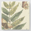 Search for framed coasters Leaves
