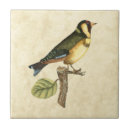 Search for branches tiles Domestic