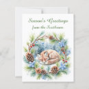 Search for bough postcards Pine cones