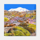 Search for andes mountain magnets Mountains