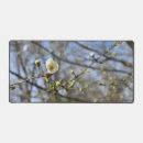 Search for bough electronics Flowers